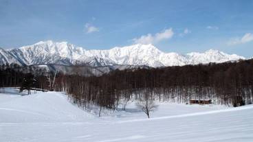 スノーシュー / 13