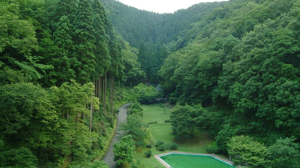 森の空気を吸い込んで
爽やかな目覚め / 4