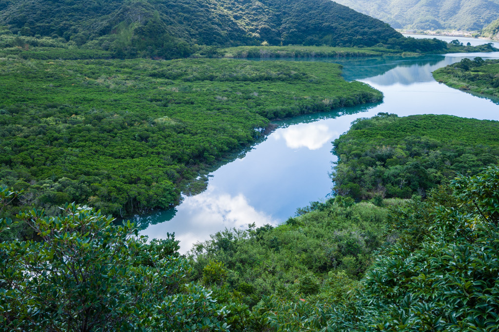 南の楽園・奄美大島3476328