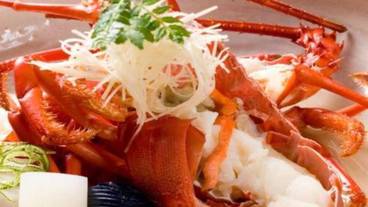 食事・飲み物 / 25