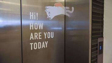 内装の詳細 / 11