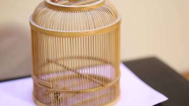 客室の設備とサービス / 18