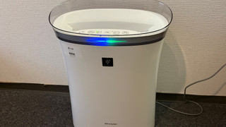 セミダブルルーム 禁煙
