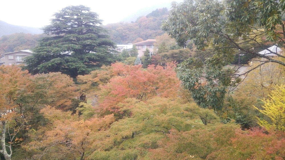 施設からの眺望