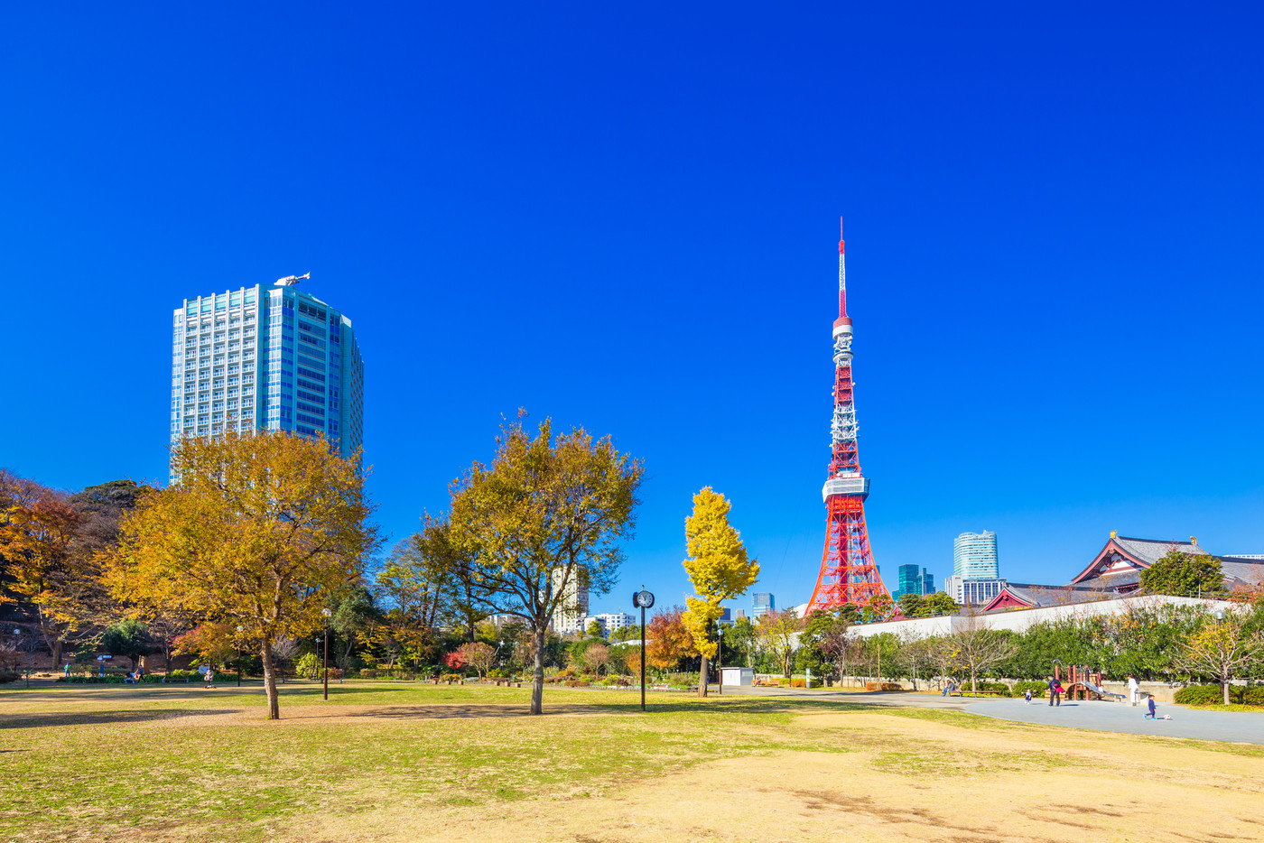 東京　秋の芝公園