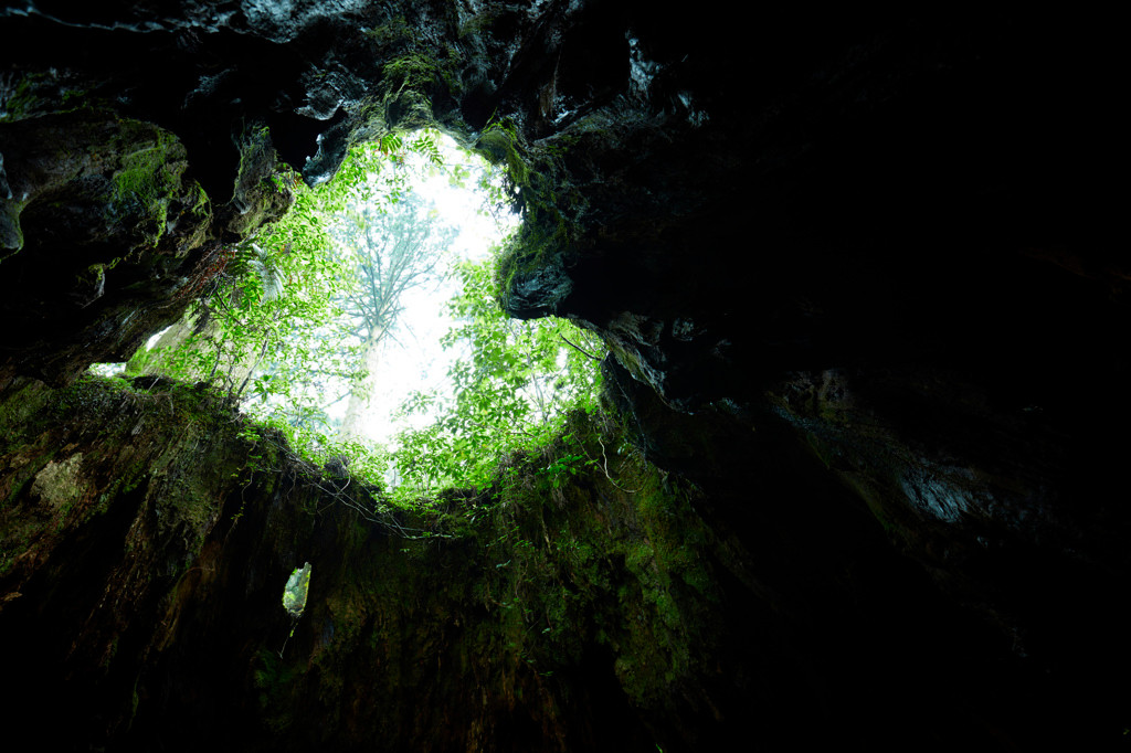 意外と平気⁉屋久島で一人旅デビュー♪4082941