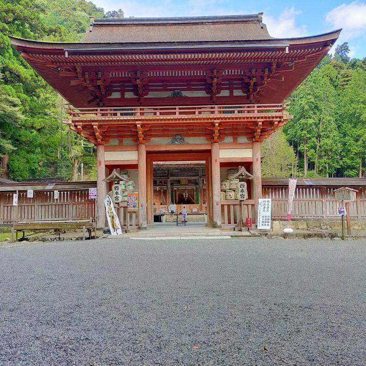 kztk_aさんの写真 / 5