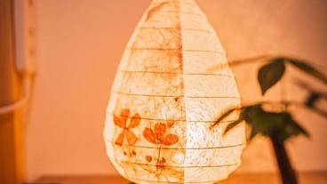 客室の設備とサービス / 9