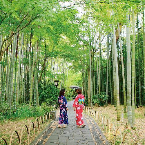 桂谷八十八ヶ所巡り
石の庭を散策 / 1