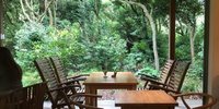 千葉県富津・こんなところに？森の中にある隠れ家のようなカフェ グローブ（Cafe Grove）