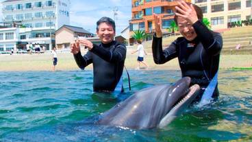 フィットネス設備 / 8