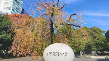 観光スポット / 14