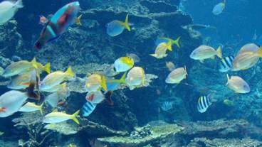 子供向けアクティビティ / 3