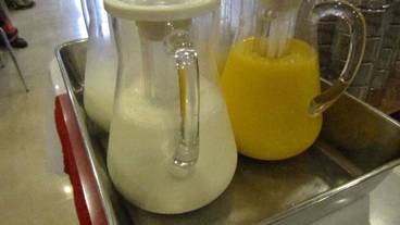 食事・飲み物 / 6