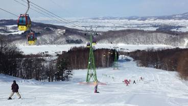 スノー スポーツとスキー / 12