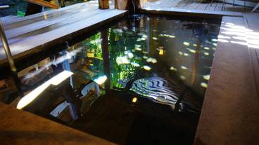 温泉露天風呂 / 4