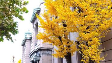 観光スポット / 15