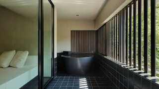 ジュニア スイート