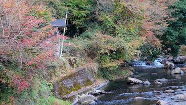 部屋からの景観 / 8