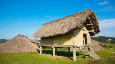 ランド ビュー / 40