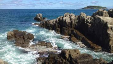 ランド ビュー / 37