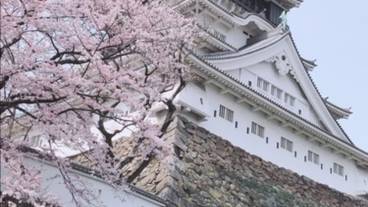 シティ ビュー / 14