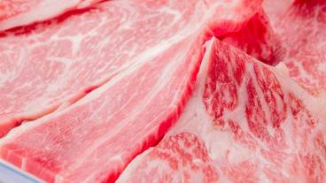 食事・飲み物 / 9