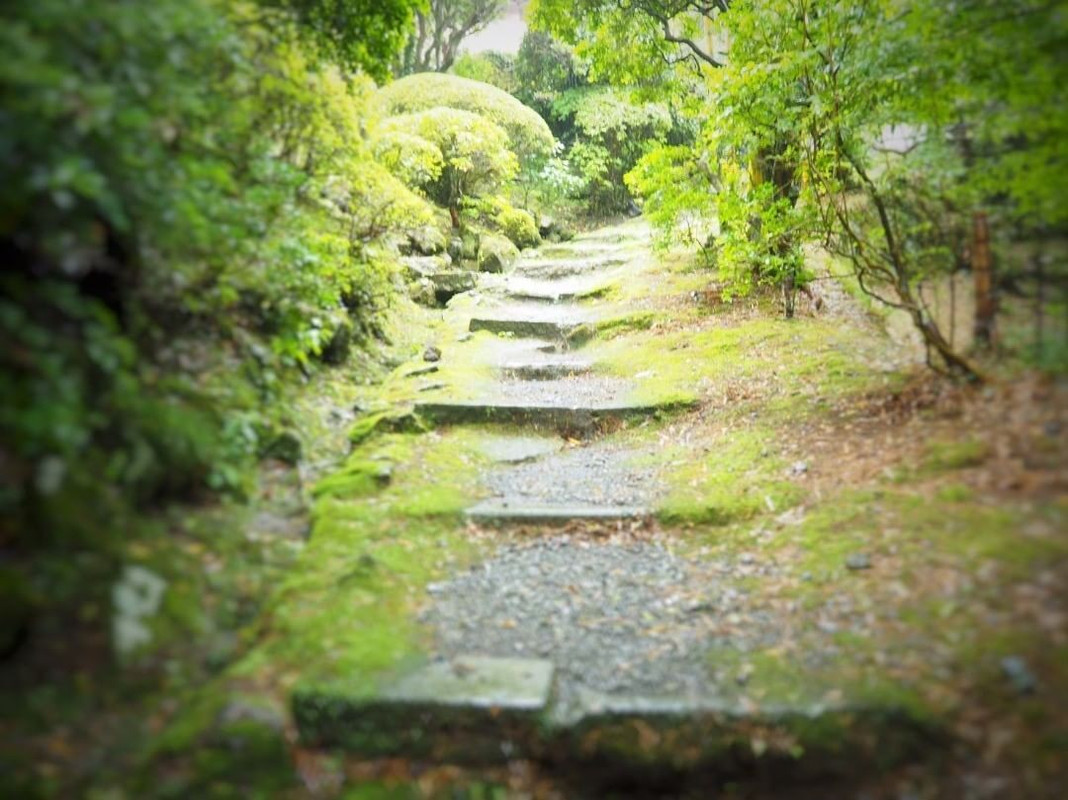 yu_cozylifeさんの写真 / 1