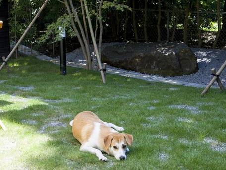 Rakuten STAY VILLA 箱根仙石原 / 5