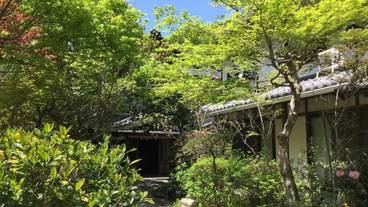 施設の敷地 / 12