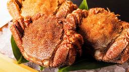 鮮度満点♪北海道で色々なカニを味わいつくす！おすすめのホテル・旅館13選