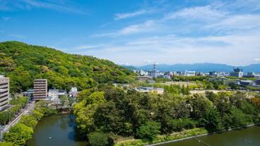 マウンテン ビュー / 13