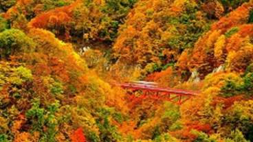 子供向けアクティビティ / 5