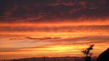 部屋からの景観 / 5