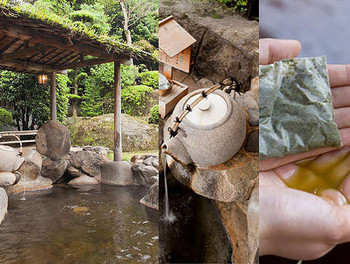 6. 茶心の宿　和楽園3846560