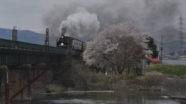 エコツアー / 5