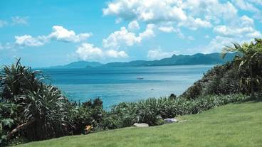 施設からの眺望 / 17