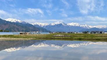 観光スポット / 16