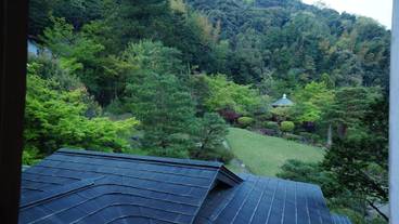部屋からの景観 / 39