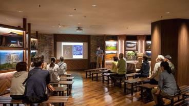 エコツアー / 14