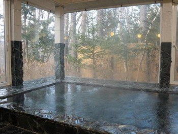 「銀の森」 内観 817903 大浴場