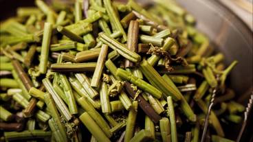 レストラン / 27