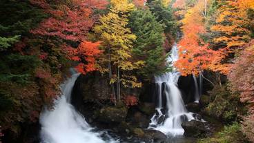 シティ ビュー / 7