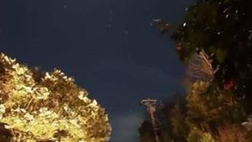 施設からの眺望 / 17