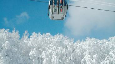 スノー スポーツとスキー / 9