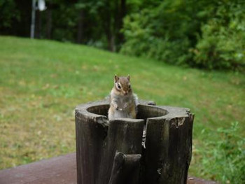 秘境のオーベルジュで上質なフレンチを4287844