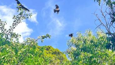 施設からの眺望 / 23