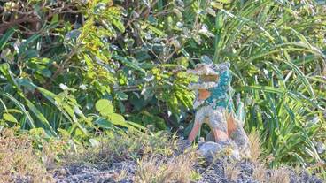 施設の入り口 / 4