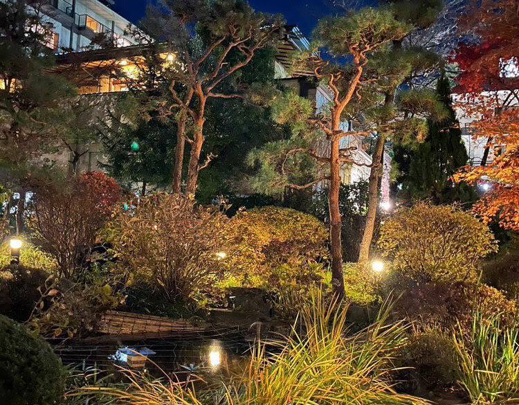 百年旅館のおもてなし
癒しにあふれる2日間 / 2