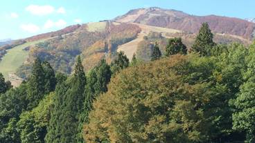 マウンテン ビュー / 21